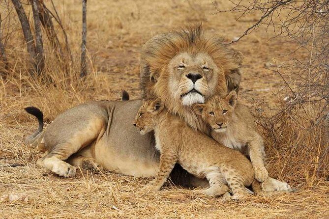 2 Days Tarangire and Ngorongoro Safari from Zanzibar - What’s Included and What’s Not?
