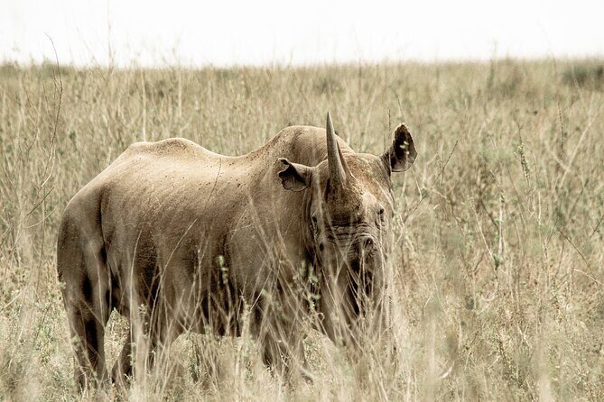 2 Days Tarangire and Ngorongoro Safari Tour in Tanzania - Frequently Asked Questions