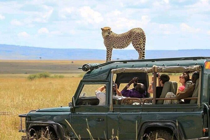 2 days Tarangire and Ngorongoro short safari - Key Points
