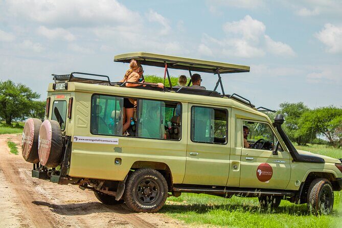2 Days Tarangire & Ngorongoro Budget Safari Tour Tanzania - Authentic Feedback from Travelers