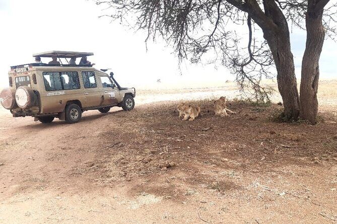 2 Days Tarangire & Ngorongoro Budget Safari Tour Tanzania - Who is this tour ideal for?