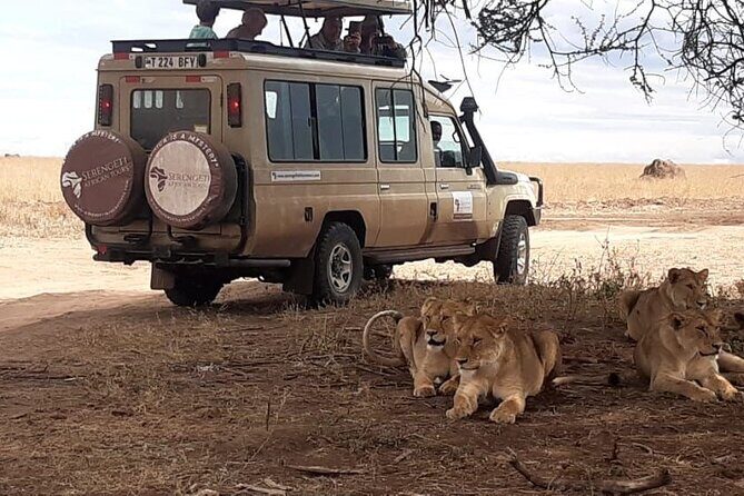 2 Days Tarangire & Ngorongoro Budget Safari Tour Tanzania - FAQ