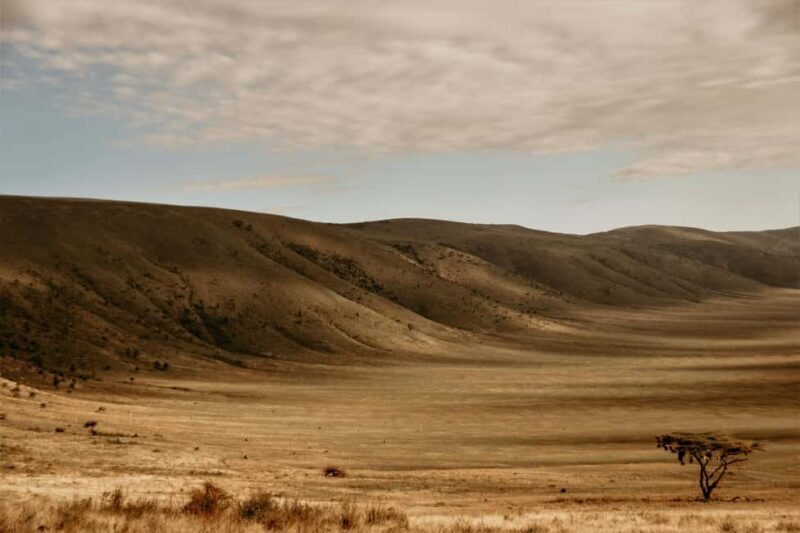 2 Days Tarangire & Ngorongoro Crater - Who Should Consider This Tour?