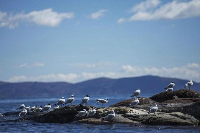 2-days-the-mystic-titicaca-lake