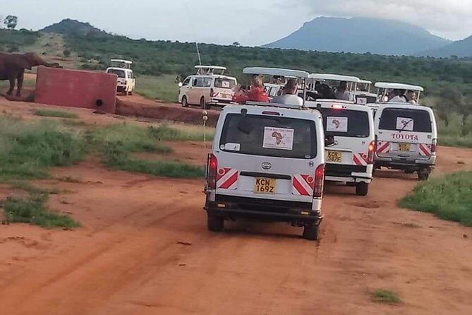 2 Days Theatre of The Wild Tsavo Experience - Practical Tips for Your Safari
