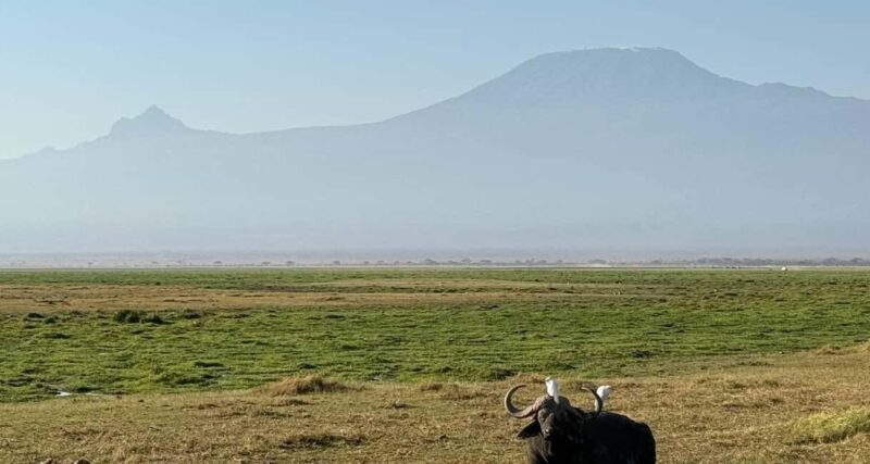 2 DAYS TO AMBOSELI NATIONAL PARK FROM NAIROBI - Key Points