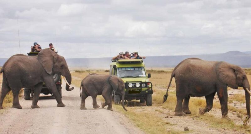 2 Days to Amboseli National Park with Masai Village Tour - Inclusions and Practicalities