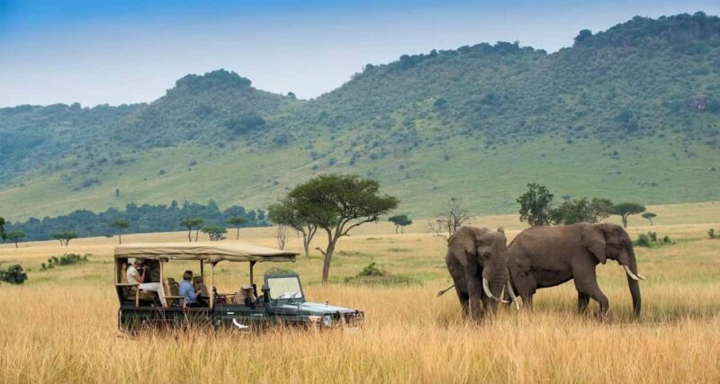 2 DAYS TO TAITA HILLS GAMES SANCTUARY - Key Points