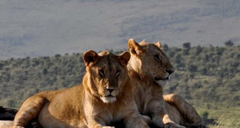 2 DAYS TO TAITA HILLS GAMES SANCTUARY - Detailed Breakdown of the Itinerary