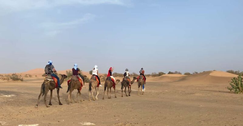 2 Days to Zagora Desert tour - ait ben haddou - Arrival in Zagora: The Desert Night  