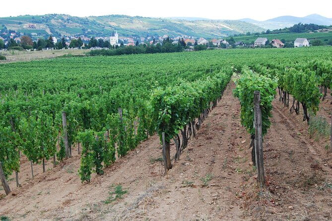 2-days-tokaj-wine-tour-in-mad-hungary-with-meals