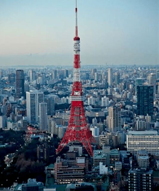 2 Days Tokyo, Mount Fuji Trip Private Guided Tour - FAQ