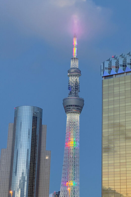 2 Days Tokyo & Mt Fuji Customizable tour with English Driver - An Introduction to the Tour Experience