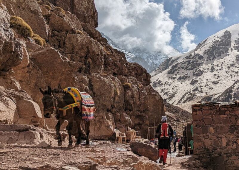 2 Days: Toubkal Ascent Trek And Berber Villages - FAQ