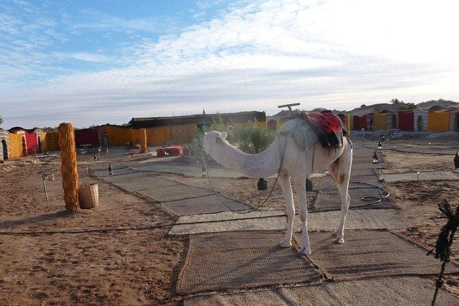 2 Days Tour: A Taste Of Moroccan Desert - The Sum Up: Why This Tour Might Be a Great Fit