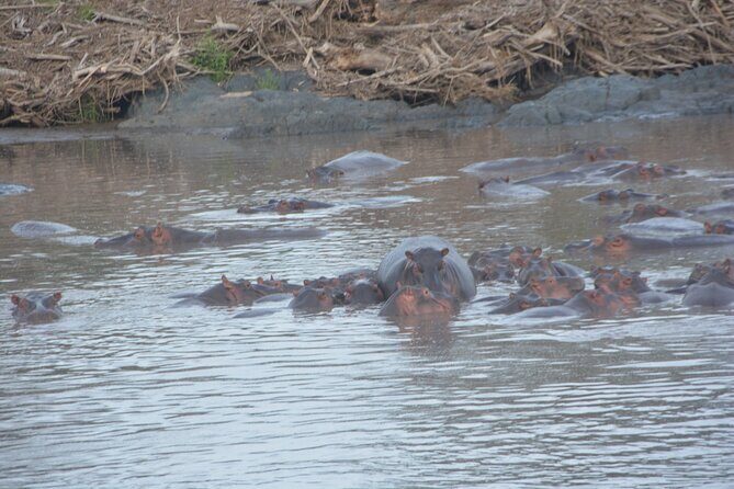 2 Days Tour From Zanzibar to Nyerere National Park (Selous GR) - Final Thoughts
