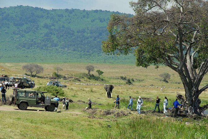 2 days Tour Tarangire & Ngorongoro - The Tour Overview: What to Expect