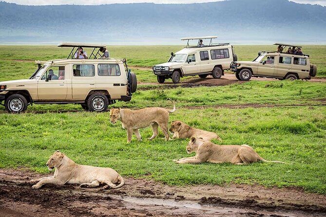 2 days Tour Tarangire & Ngorongoro - What Reviewers Have Said