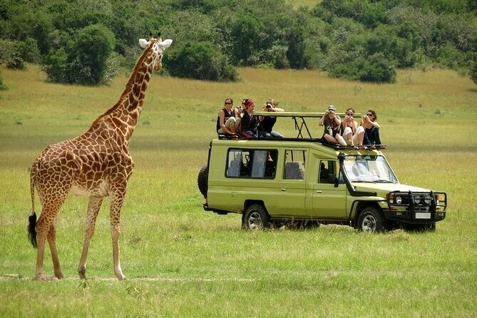 2 days Tour Tarangire & Ngorongoro - Who This Tour Suits Best