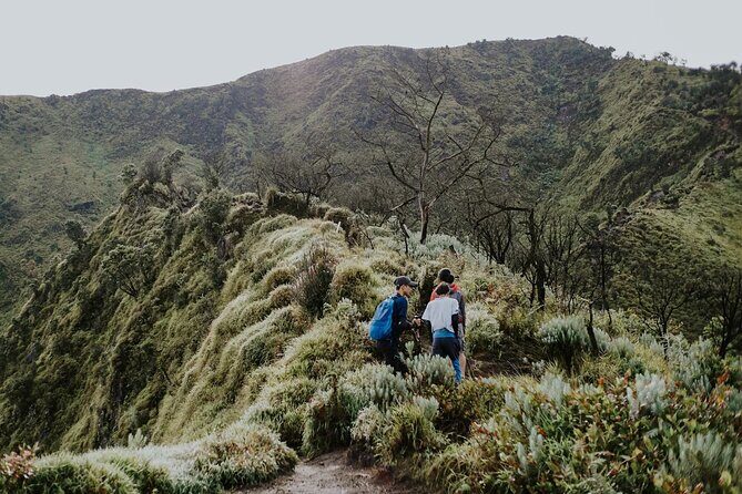 2 Days Tour to Mount Merbabu from Yogyakarta - FAQ