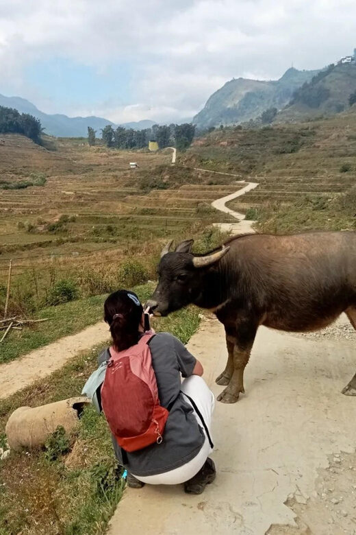 2-Days trekking with Ethnic minority homestay - Who Is This Tour Best For?
