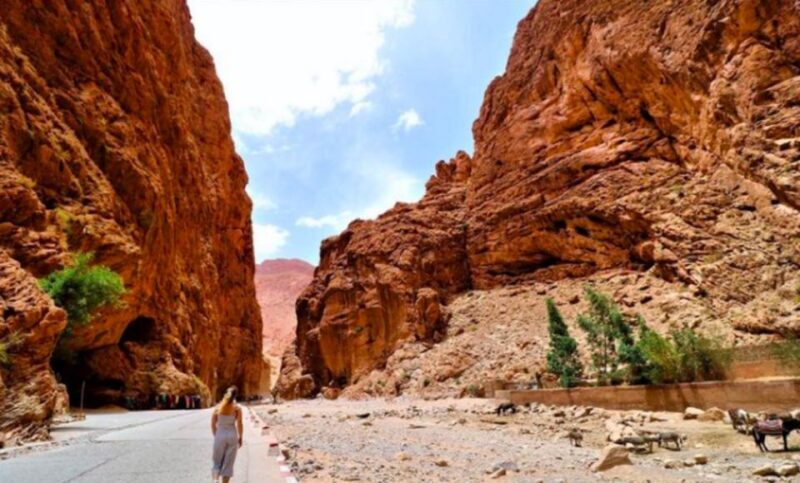 2 Days Trip From Marrakech To Ouarzazate & Dades Valley - Key Points