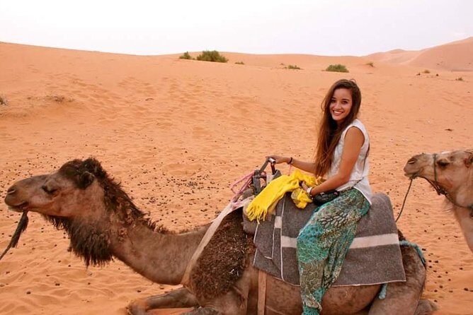 2 Days trip in a small group from FEZ to FEZ passing by MERZOUGA - Deep Dive into the Experience: What You’ll Actually Get