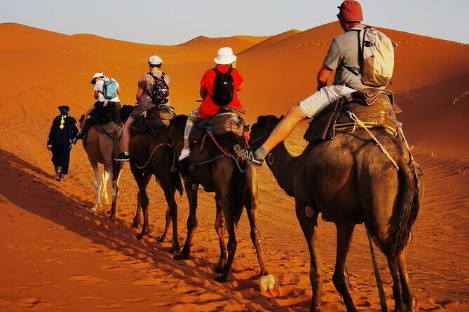 2 Days Trip Sahara Desert Fez To Fez - An In-Depth Look at the Sahara Desert Tour