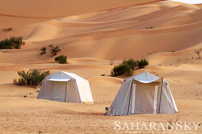 2 Days Tunisia Sahara Desert Buggy Safari Adventure - What to Expect from the 2-Day Sahara Buggy Safari