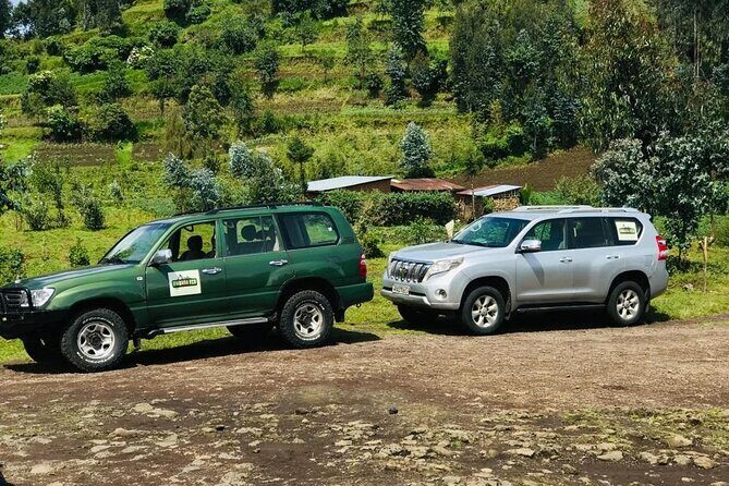 2 days Uganda Gorilla trekking - Who Will Love This Tour?