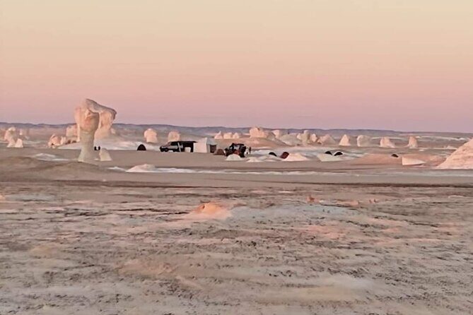 2 Days White Desert And Bahariya Oasis Tour - Why This Tour Offers Great Value