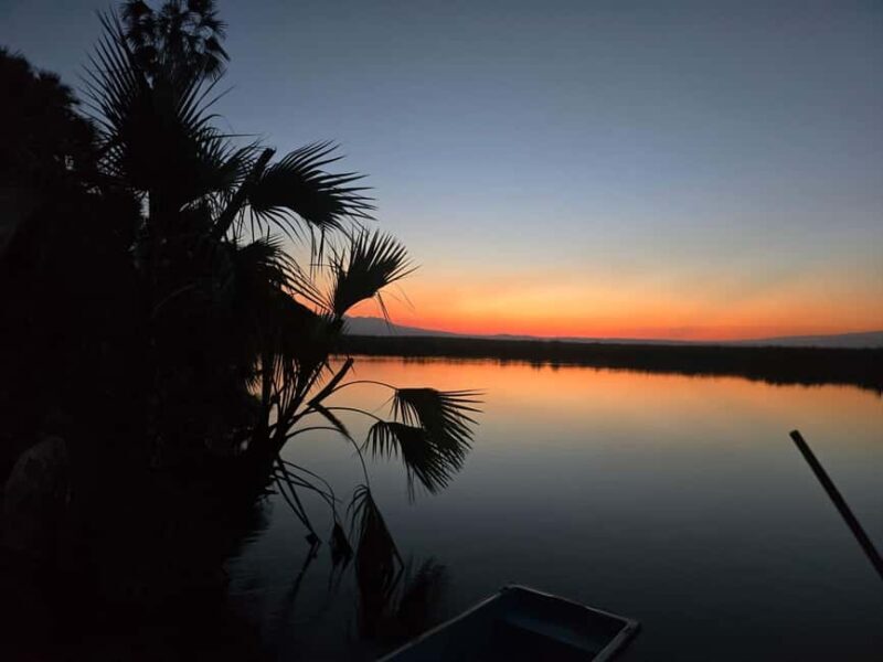 2 Days Wildlife & Bird Watching Tours to Awash National Park - Key Points