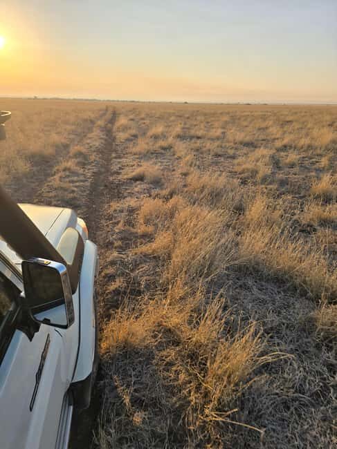 2 Days Wildlife & Bird Watching Tours to Awash National Park - Who This Tour Is Best For