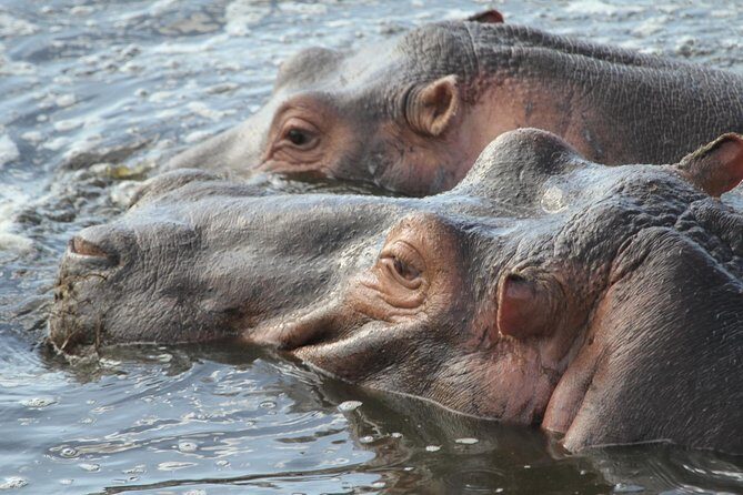2 Days Wildlife game drives Through Tarangire and Ngorongoro Crater - Who Should Consider This Tour?
