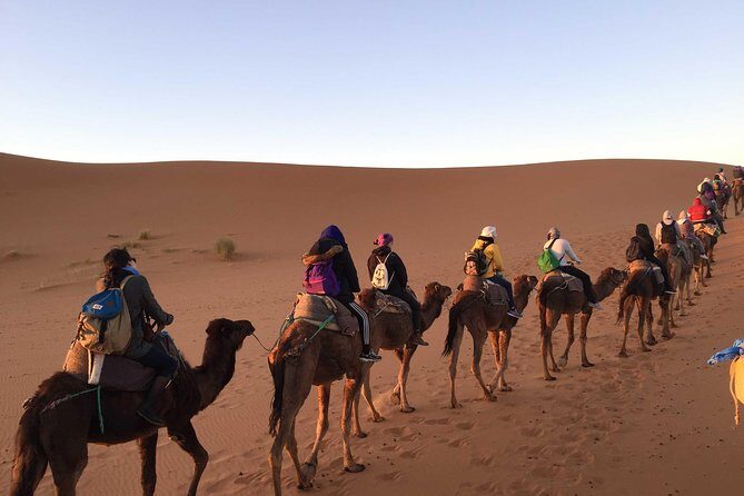2 Days Zagora Desert Eperience from Marrakech - Key Points