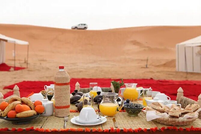 2 Days Zagora Desert Eperience from Marrakech - Who Will Love This Tour?