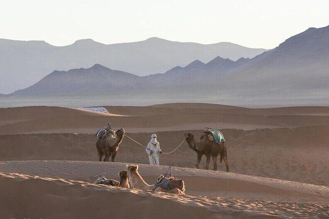 2-Days Zagora desert tour from Marrakech - Staying in the Desert: Comfort Meets Authenticity