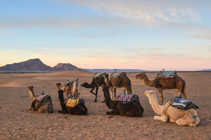 2-Days Zagora desert tour from Marrakech - Final Thoughts