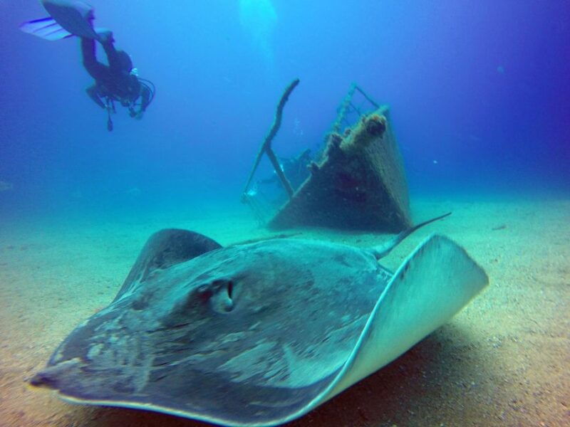 2-dive-guided-scuba-diving-for-qualified-divers