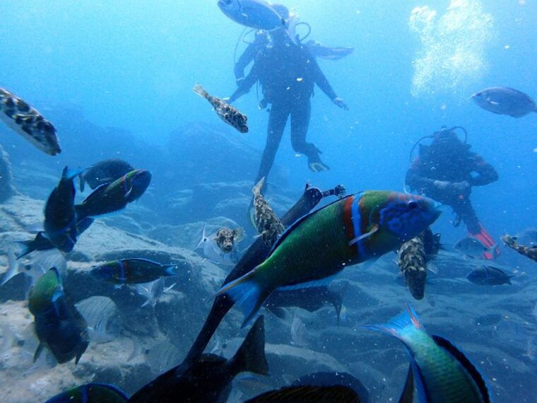 2-dive-guided-scuba-diving-for-qualified-divers