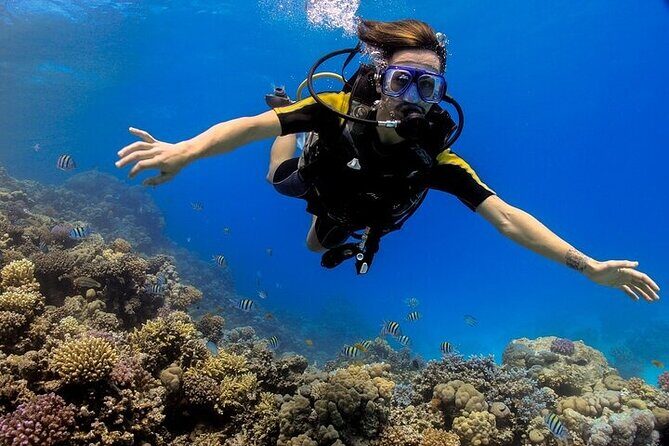 2 Dive Stops Intro Scuba Diving With Lunch & Transfer - Hurghada - Key Points