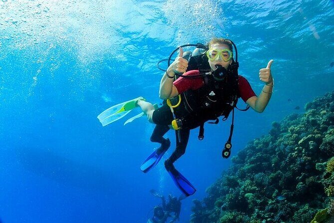 2 Dive Stops Intro Scuba Diving With Lunch & Transfer - Hurghada - How the Experience Unfolds