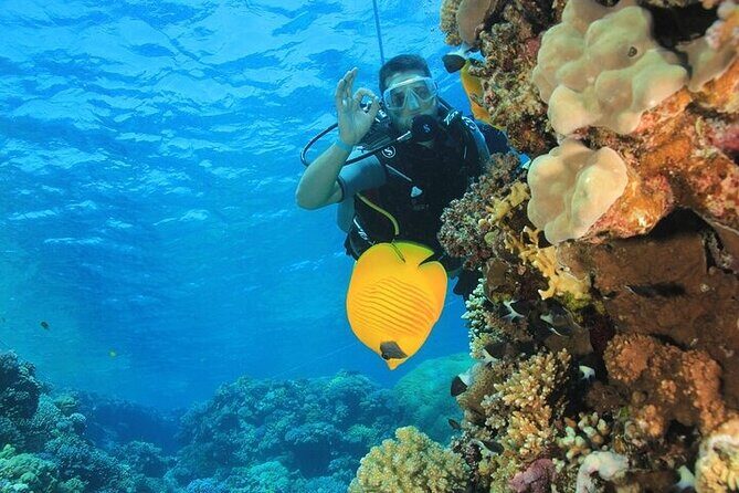 2 Dive Stops Intro Scuba Diving With Lunch & Transfer - Hurghada - Who Would Love This?