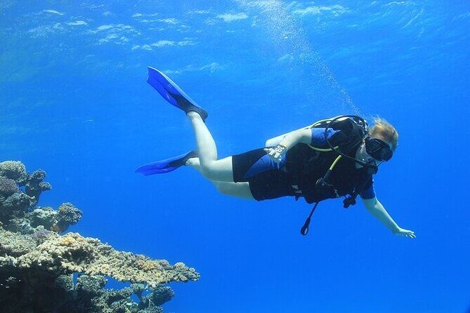 2 Dive Stops Intro Scuba Diving With Lunch & Transfer - Hurghada - FAQ