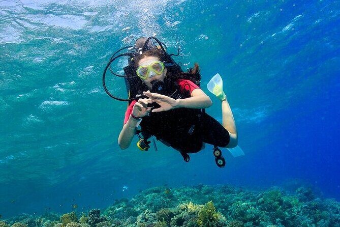 2 Dive Stops Intro Scuba Diving With Lunch & Transfer - Hurghada - Final Thoughts