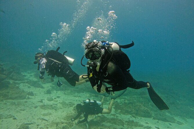 2 Dives for Certified Divers in Fujairah with lunch & transfer - What Sets This Tour Apart? Practical Insights