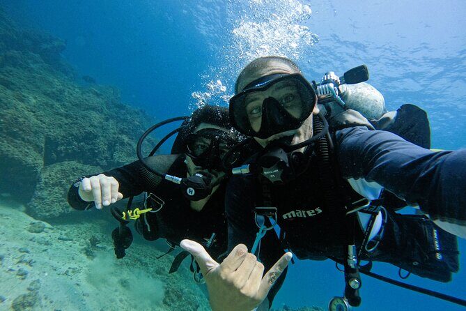 2 Dives for Certified Divers in Fujairah with lunch & transfer - Analyzing the Value: Is the Price Justified?
