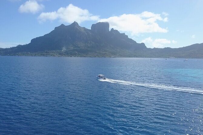 2 Dives in the morning for certified divers in Bora Bora - The Sum Up