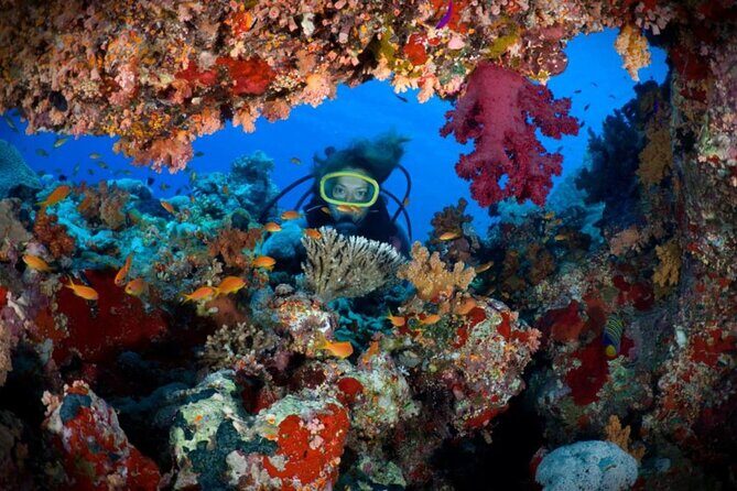 2 Diving stops at the most beautiful coral reefs Hurghada - Key Points