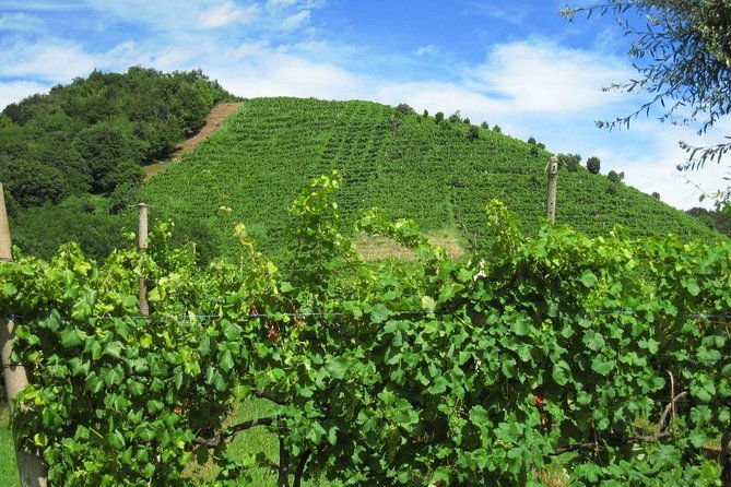 2-guests-private-prosecco-road-tour-all-inclusive-from-conegliano